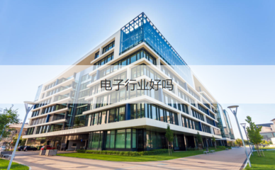 柳州微電子行業(yè) 企業(yè)待遇、工作體驗與投資管理分析